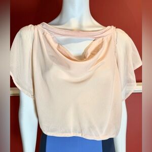 Bebe short sleeve blush blouse crop top